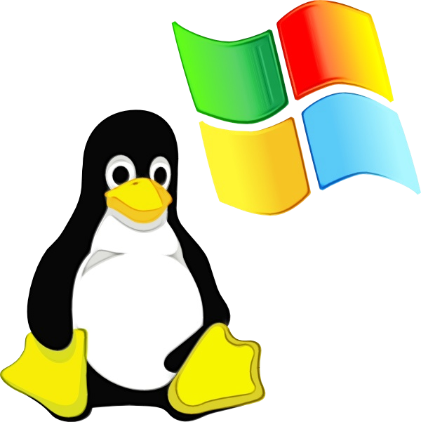 Windows and Linux